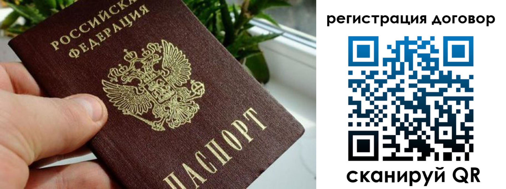 прописка ребенка в Ивановской области